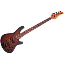 C-5 Standard Tobacco Burl Schecter