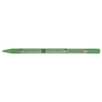 Crayon pastel - Gris vert mousse - 173 - Sans bois - Sennelier