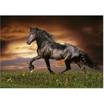 CHEVAL AU TROT - Puzzle de 1000 pièces