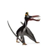 Préhistoire Deluxe - Guidraco - Collecta