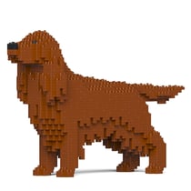 Chien Setter Irlandais Taille standard | JEKCA | 14 ans et +