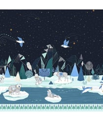 Tissu coton Dashwood nuit de Noël de 110 cm de largeur arcticink vendu par 50 cm
