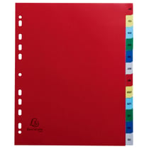 Intercalaires imprimés mensuel PP couleurs 12/100e - 12 positions - A4+ - Assorties vives - x 20 - Exacompta