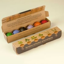 Resetea - Pack de 6 bombes de graines aromatiques