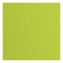 Papier cartonné - Florence - 20 feuilles - Lime - 30,5 x 30,5 cm - 216 g/m²