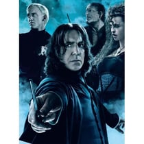 Puzzle 2 x 500 pièces - Harry Potter et le Prince de Sang Melé - Ravensburger