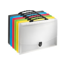 Trieur - Valisette - 13 compartiments - Pour documents A4+ - 39x28,5 cm - Esselte