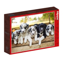 Puzzle 1000 Pièces Chiot Border Collier - Alize Group