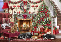 Puzzle 1000 pièces - Cosy Fireplace - Bluebird Puzzle