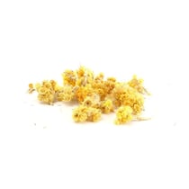 Graine Créative - Fleurs séchées Immortelle - Deco Bougie Savon