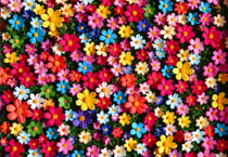 Puzzle 1000 pièces - Explosion de Pétales - Alipson Puzzle