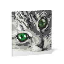 Oeil de JEKCAT 2 | JEKCA | 14 ans et +