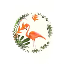 50 Caissettes à Cupcakes - Flamant Rose