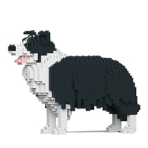 Chien Border Collie noir Taille standard | JEKCA | 14 ans et +