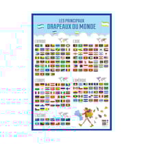 Poster pédagogique - J'apprends les drapeaux du monde - 52x76cm - A afficher - Bouchut