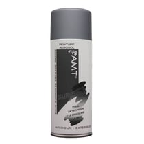 Bombe de peinture gris mat 330ml - Amt