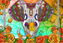 Puzzle 1000 pièces - Colorful Elephant - Bluebird Puzzle