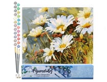 Peinture par Numéro Figured'Art - Champ de Marguerites - Kit de Loisir Créatif DIY Numéro d'Art Complet - 40x50cm sans châssis en bois