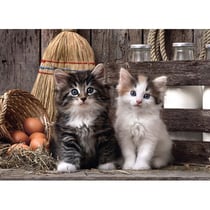 Puzzle mignons chatons 1000 pieces - collection animaux domestiques - clementoni - 39340