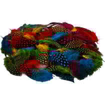 Plumes de pintade, ca. 100 pièce, ass. de couleurs, 3 gr/ 1 Pq.