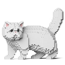Chat Exotic Shorthair blanc | JEKCA | 14 ans et +