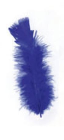 SACHET 5 Gr PLUMES BLEU FONCE