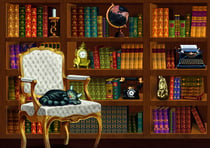 Puzzle 1000 pièces - The Classiquetage Library - Bluebird Puzzle