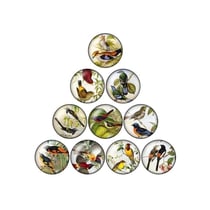 10 cabochons rond en verre assorties 25 mm OISEAU