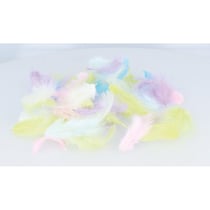 Plumes colorées 10 gr - Artemio