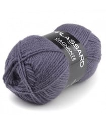 Fil à tricoter Gagnante - Plassard 955 Gris