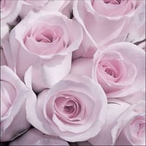Lot de 4 serviettes en papier découpage collage 33 cm ROSE VINTAGE FA 350