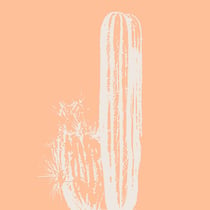Tableau sur toile cactus bohême 65x65 cm