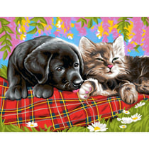 KSG - Tableau peinture au numéro Comme chien et chat