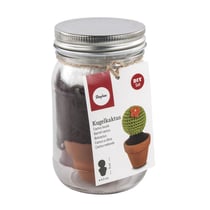 Kit: Cactus boule, 4,5cm 9cm, verre 1pce.
