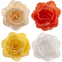 Assortiments de 15 Roses Automne Ø 7 cm - Azyme