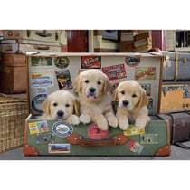 Puzzle 3 chiots dans la valise 500 pieces - collection animaux - educa - 17645