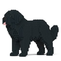 Chien Terre-Neuve noir Taille standard | JEKCA | 14 ans et +