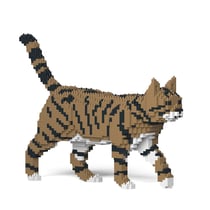 Chat Tigré marron | JEKCA | 14 ans et +