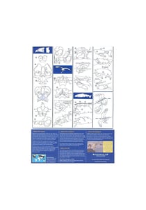 Birdmobile Balbuzard pêcheur