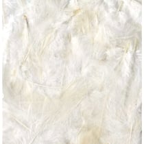Plumes blanches 12 cm - Artemio