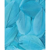 PLUMES TURQUOISE - 6 CM