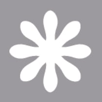 Perforatrice : Pâquerette, 3,81cmø, (1 1 / 2"), 1 pièce