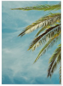 Poster Palm Trees 4 | A3 : 29,7x42cm