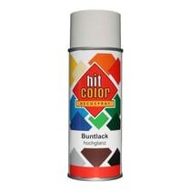 Spray de peinture - Crème - RAL9001 - Brillant - Décoration - Tous supports - Hit Color - 400ml