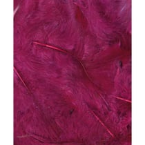 PLUMES BORDEAUX - 12 CM