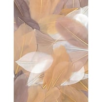 Graine Créative - Plumes coupées camaieu beige 10g 6cm