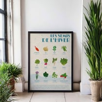 Poster Les Semis d'Hiver