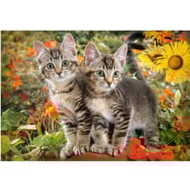 Puzzle 2 adorables chatons dans la nature 1500 pièces - collection animaux familiers - castorland - 151899