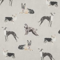 Tissu Toile Canvas chiens Canissimo sur fond Gris perle - Au mètre