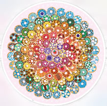 Puzzle Ravensburger Circle of Colors - Donuts multicolore 500 pièces